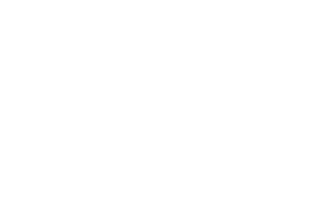 logo_dogfestival_V4_PB-05